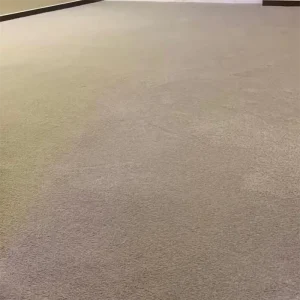 Private Banking VIP Suite Cut Pile Carpet Soft Wall to Wall Flooring Saxony Broadloom Carpet