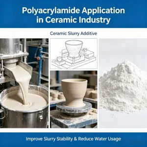 Professional Service High Molecular Weight Polymer Cationic Polyacrylamide Drilling Fluid Additive