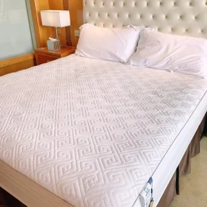 Quilted Waterproof Mattress Cover Embossed Bedding Mattress Protector Anti-mite Anti-bacterial Fitted Bed Sheet No Pillowcase