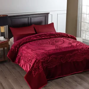 Raschel Fleece Blanket King Size Korean Mink Blanket Heavy Single Ply Fluffy Soft Cozy Thick Warm Winter