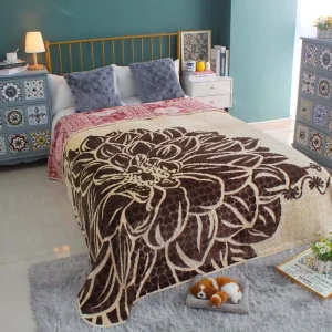 SENFELA Brand Hot Selling 100% Polyester 2 PLY Heart Embossed OEM Designs Cloudy Warp Raschel Blanket