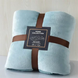 Small Export Solid Color Thickened Polyester Flannel Blanket Coral Fleece Modern Minimalist All Seasons Nap Travel Yoga