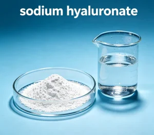 Sodium Hyaluronate CAS 9067 32 7 High purity Powder Cosmetic Raw Material Hyaluronic Acid