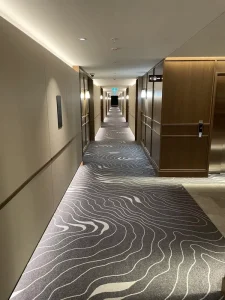 Soft Nylon Polypropylene Carpet Roll Wall 4m Reversible Washable Machine Tufted PET Friendly Stain Resistant Modern