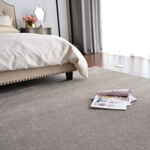 Soft Wall to Wall Big Carpet Rugs Living Room Large Residential Oval Carpet Roll for Kids Play