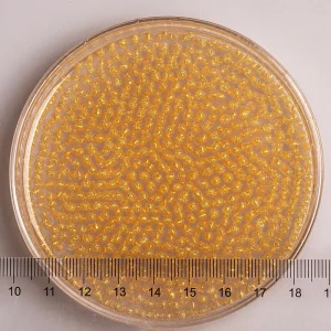 Softlets P Gold T325 3 5mm Cosmetic Raw Materials Pellets