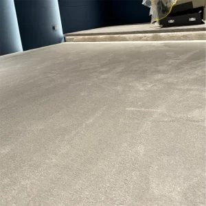Software Development Campus Innovation Center Cut Pile Carpet Anti Static Wall to Wall Flooring Saxony Broadloom