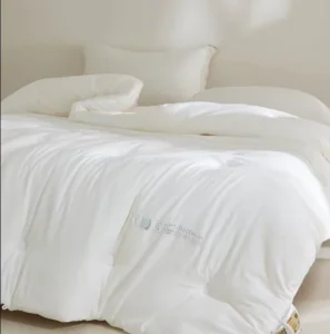 Spring Autumn Class A Silk Antibacterial Soya Bean Duvet Quick Drying Dry and Comfortable Heat Retaining Duvet