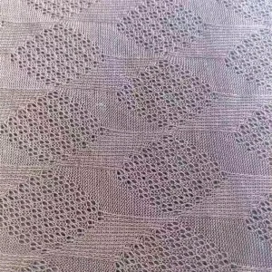 Spring and Summer New 100% Polyester Elastic Embroidered Knitted Fabric for Clothing