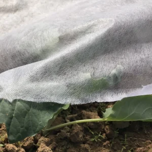 Spunbond Non Woven Fabric Cross Pattern Roll for Flower Wrapping Cloth Plant Winter Frost Cover