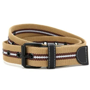 Striped Canvas Webbing Belt Heavy Duty Non Stretch Cloth Belt Metal Eyelets Double Roller Buckle Outdoor Casual Belt