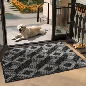 Super Absorbent Washable Tufted Polypropylene Non Slip Indoor Welcome Entrance Mats Dirt Trapper Front Door Mats for Home