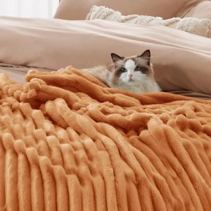 Super Soft Cozy Polyester Woven Striped Fleece Blanket Skin Friendly Lightweight for Bed Sofa Use Cute Small Size for Girls