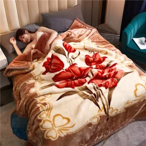 Super Soft Warm 2 Ply Reversible Korean WInter Thermal King Size Bed Blanket Heavy Raschel Bed Blankets