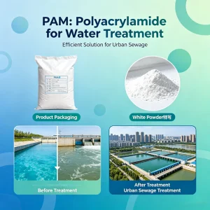 Technical Sludge Dewatering Agent PAM for Pharmaceutical Factory Effluent