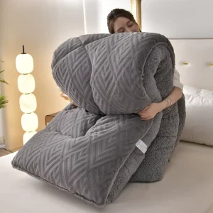Thick Warm Solid Color Double Sided Velvet Baby Milk Fleece Modern All Season Duvet Cover Quilt