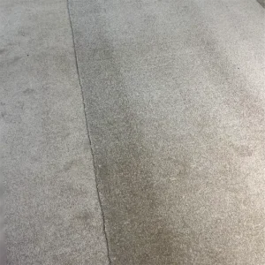 Upscale Coworking Space Common Area Cut Pile Carpet Durable Wall to Wall Flooring Modern Startup Saxony Carpet