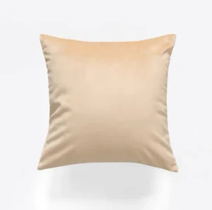 Velvet Throw Pillow Covers Super Soft Decorative Square Cushion Cases Modern Luxury Home Decor for Sofa Couch Bed