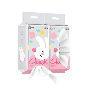 Wall Mounted 3 ply Facial Tissue 60pcs Eco friendly Baby Safe Soft Polyester Cotton Dry Wet Use Lint Free Cloud Design for