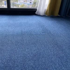 Wall to Wall Carpet Anti-slip Loop-pile Carpet Office Workshop Gym Apartment Living Room Dining Room Aisle Prayer Rugs