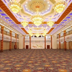 Wall to Wall Carpet Commercial Hotel Wilton Carpet Office Floor Carpet