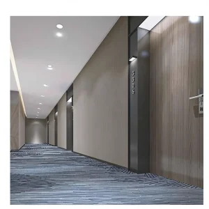 Wall to Wall Machine Made Modern Nylon High Pile Carpet for Living Room Bedroom Cinema Corridor Fully Covered Large Area