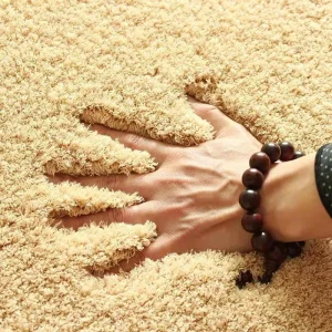 Wall to Wall Tufted Soft Foot Feel Office Carpet Floor for Commercial Flooring and Hotel