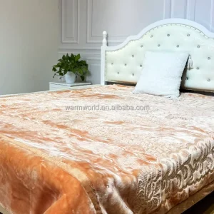 Warm Super Soft Thick 2-Ply High Quality Four Seasons 100% Polyester Winter Warmth Raschel Blanket