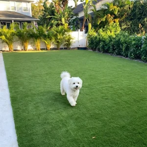 Waterproof Fire Resistant Artificial Turf Synthetic Grass Carpet Artificial Grass for Garden Yard Decor