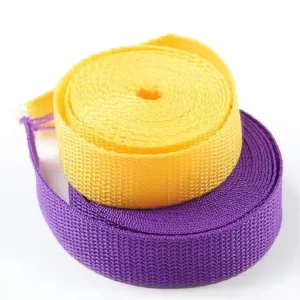 Webbing Band 900D 600D 300D Cotton Color Webbing Tape for Bags Straps