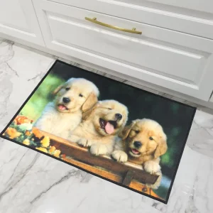 Welcome Indoor Outdoor Home Use Floor Mat Tufted Rubber Dog Door Mat for Entrance Kitchen Bathroom or Living Room