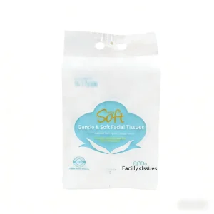 Wet Tissue Toilet Paper Packaging Bag Customized Hanging Cotton Soft Towel Face Washing Color Printing PE Plastic Resealable