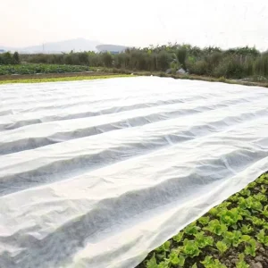 White/Black 100gsm Spunbond Non-Woven Fabric Roll Polypropylene Agriculture Fabric for Garden Supplies