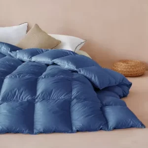 Winter Home Hotel Soft Down Quilting Comforters 100% Cotton Filling 90% White Duck Down Luxury Duvet