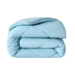 Winter Quilt Core Thickened Warm 100% Polyester Printed Eco Friendly Skin Friendly Simple Style Home Double Bed