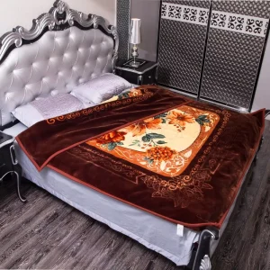 Winter Super Soft 100% Polyester Double Bed Korean Raschel Blanket