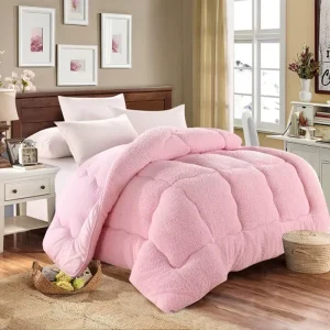 Winter Weight Thickened Winter Microfiber Fabric Duvet Inserts for Students Single and Double Sizes