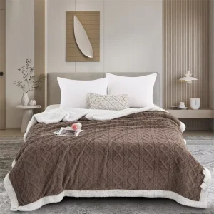 Wool Blankets Throws Soft Custom Flannel Fleece Blanket Thickened Lamb Wool Warming Blankets for Winter
